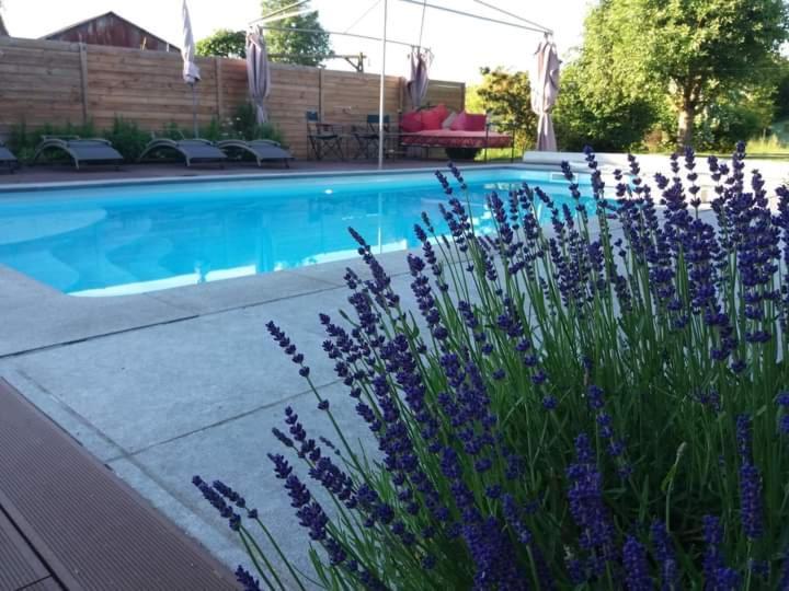 Chambres D'Hotes Secret D'Une Nuit: Vicq Guesthouse with Pool Exterior photo